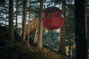 the tree tent highland hangout